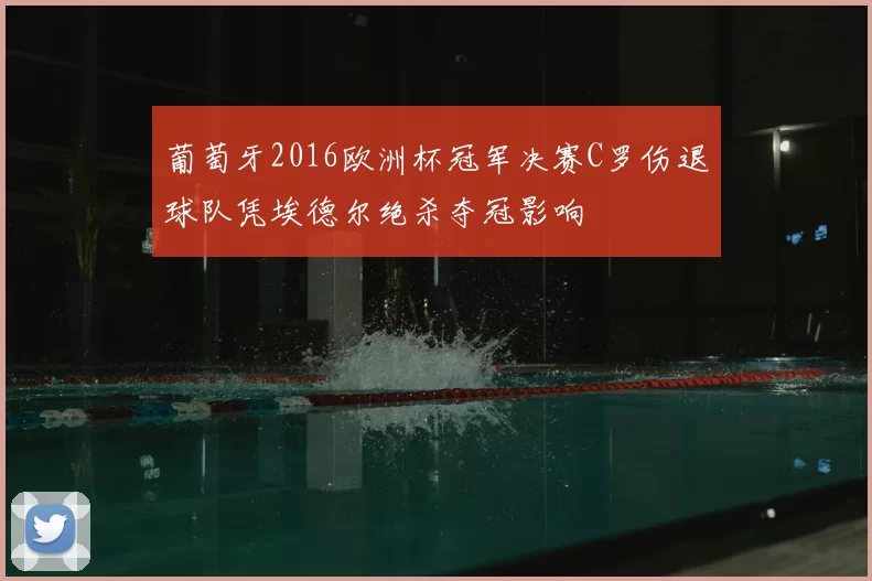 葡萄牙2016欧洲杯冠军决赛C罗伤退球队凭埃德尔绝杀夺冠影响