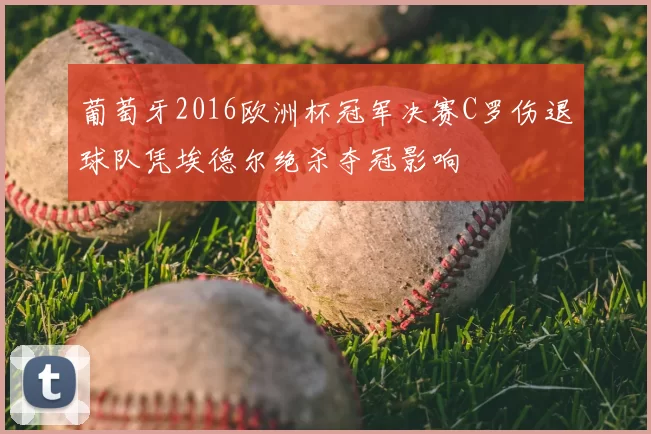 葡萄牙2016欧洲杯冠军决赛C罗伤退球队凭埃德尔绝杀夺冠影响
